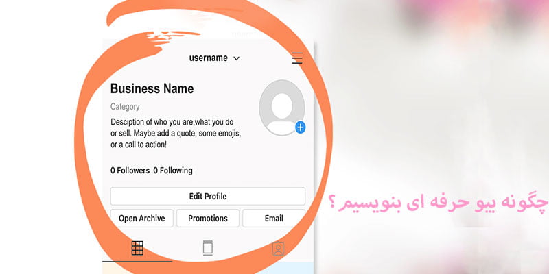 بیوگرافی حرفه ای